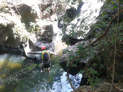 goajungle
